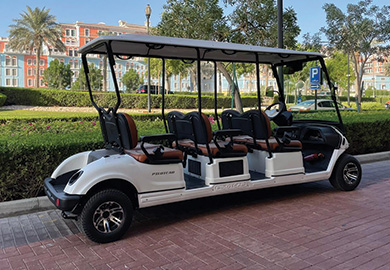 Electric Golf Carts Jacksonville Beach, FL