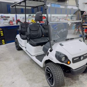 gas golf cart in Jacksonville Beach, FL